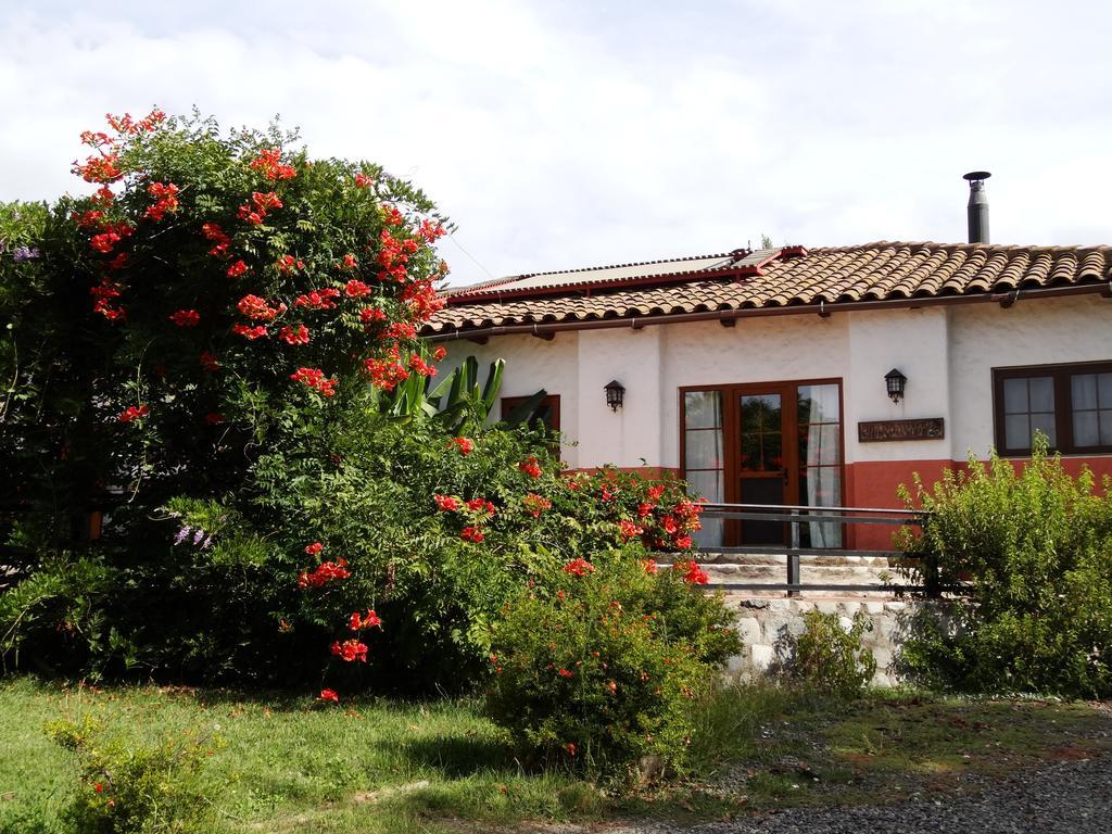 Casa Chueca - Divino Apartman Talca  Szoba fotó
